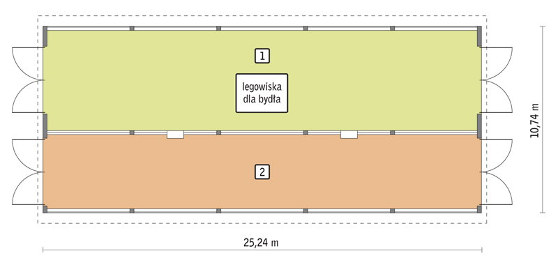 rzut przyziemia