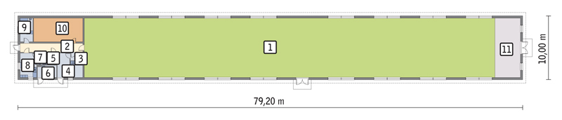 rzut przyziemia