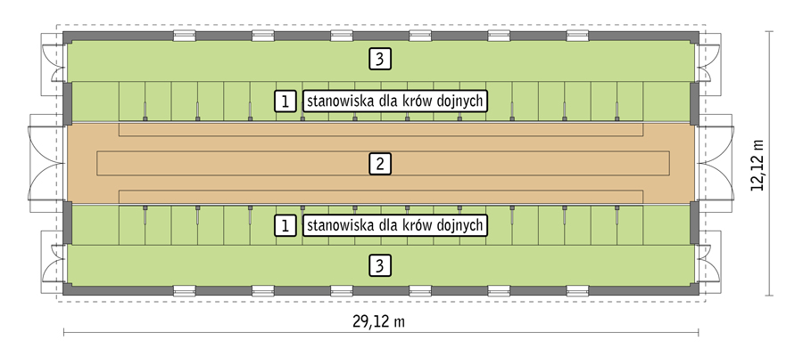rzut przyziemia