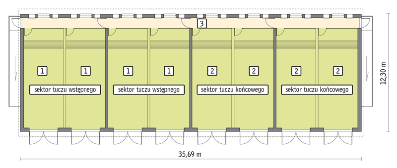 rzut przyziemia