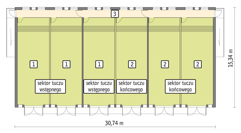 rzut przyziemia