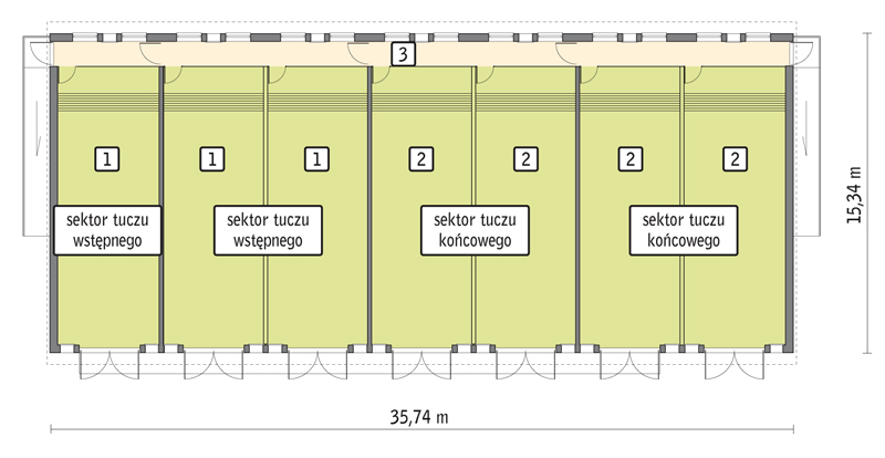 rzut przyziemia