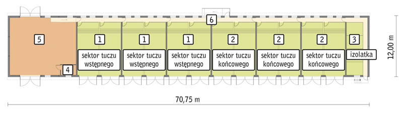 rzut przyziemia