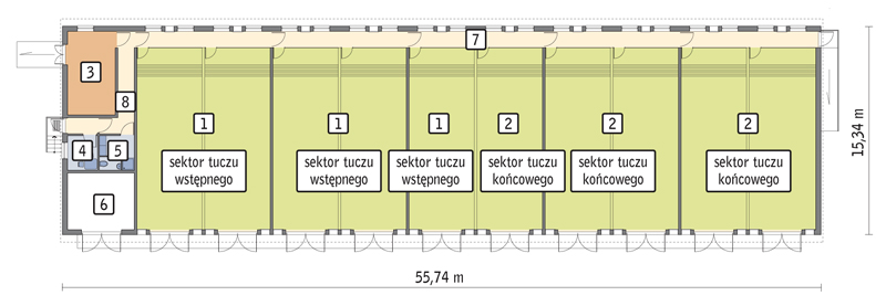rzut przyziemia