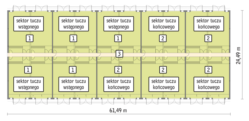 rzut przyziemia