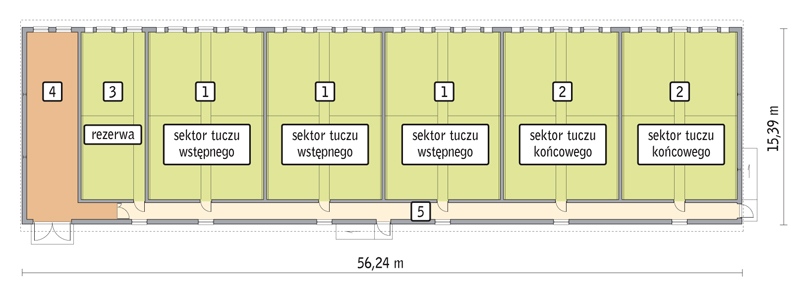 rzut przyziemia