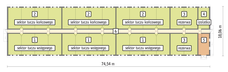 rzut przyziemia
