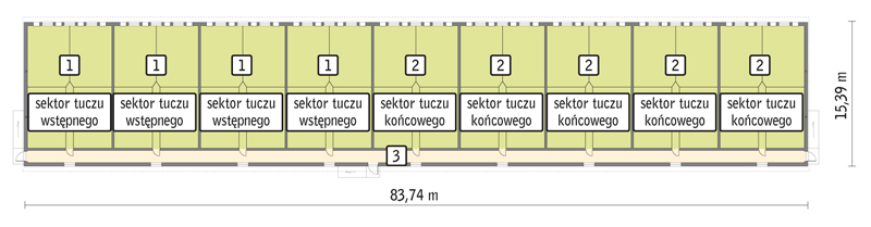 rzut przyziemia