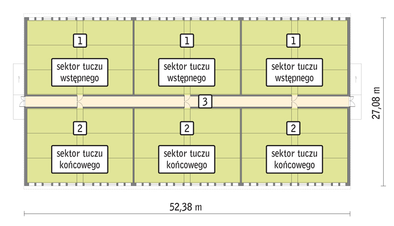 rzut przyziemia