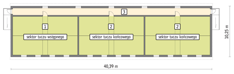 rzut przyziemia
