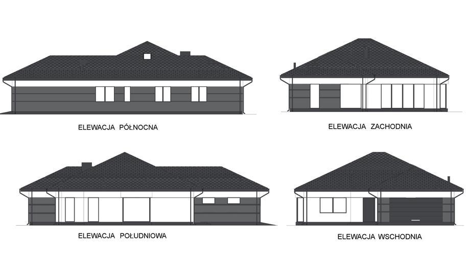 Elewacja 1