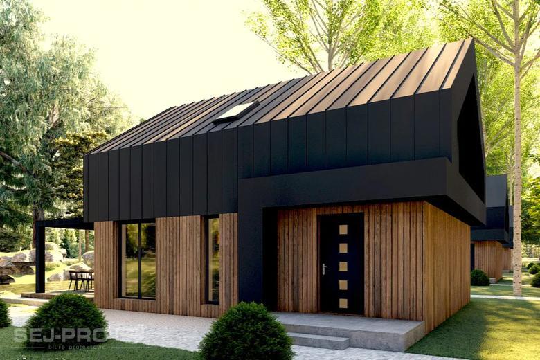 Projekt domu SP040 energo