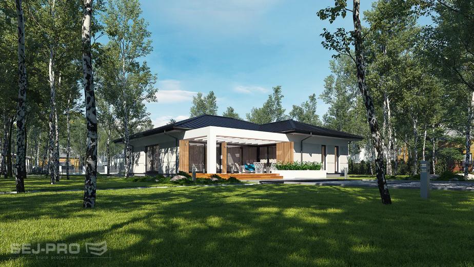 Projekt domu SP049 energo