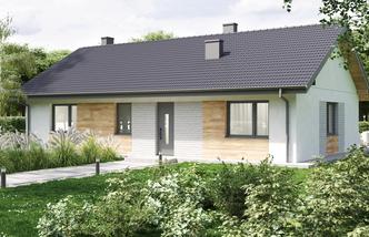 Parterowy klasyk 110