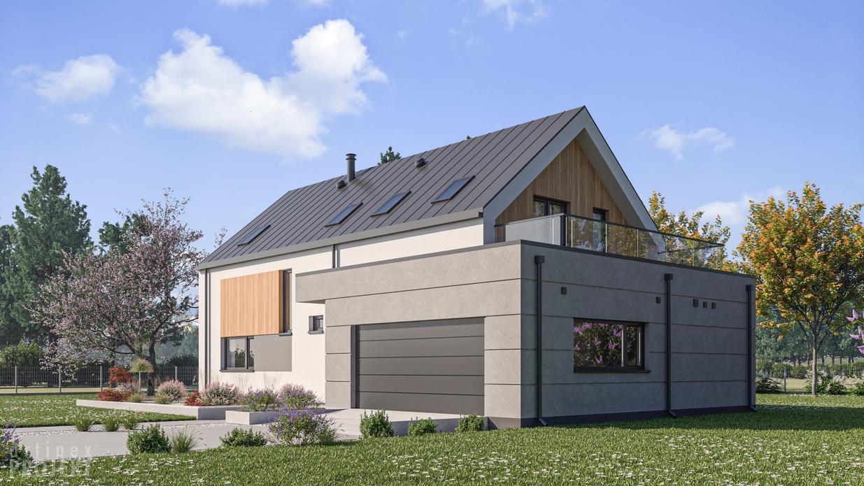 Projekt domu D461