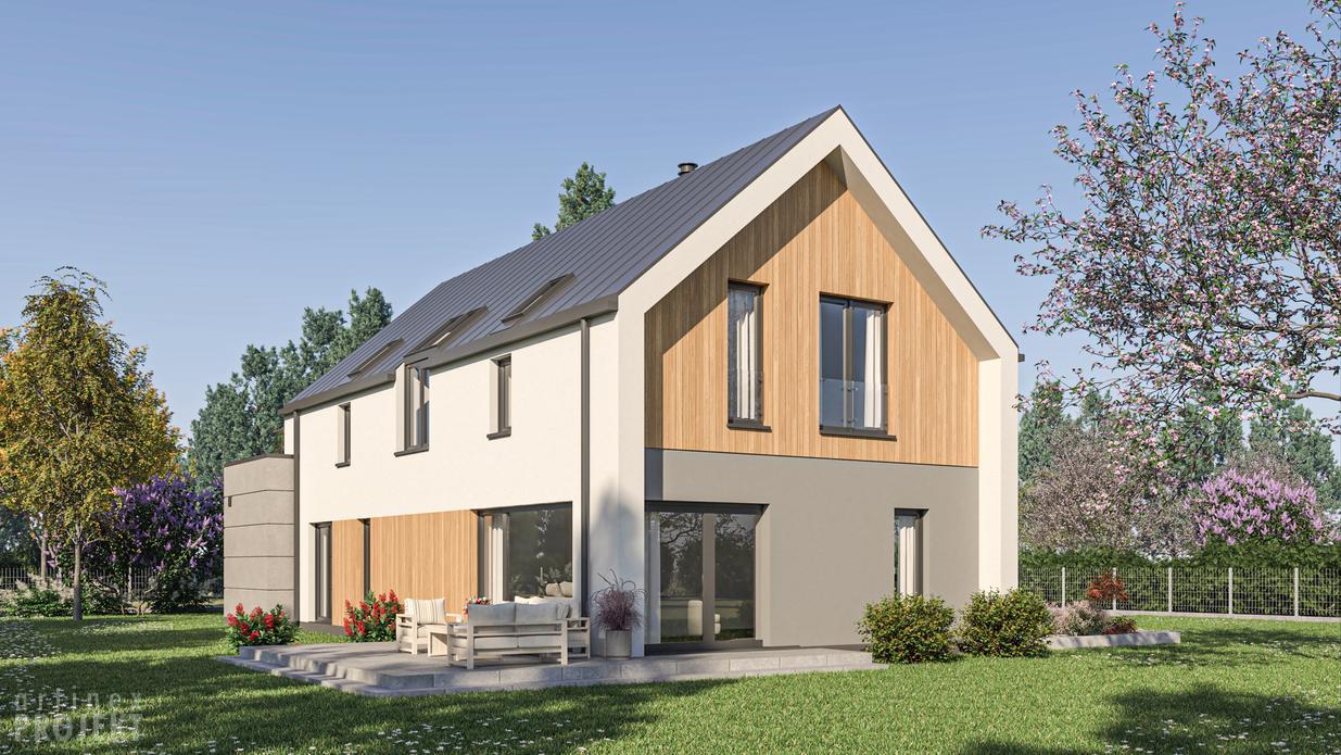 Projekt domu D461