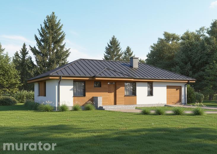 Dom na 102 - wariant III