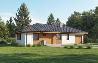 Dom na 102 - wariant III