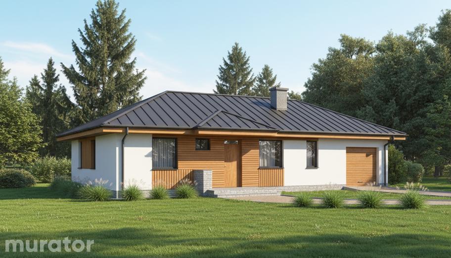 Dom na 102 - wariant III