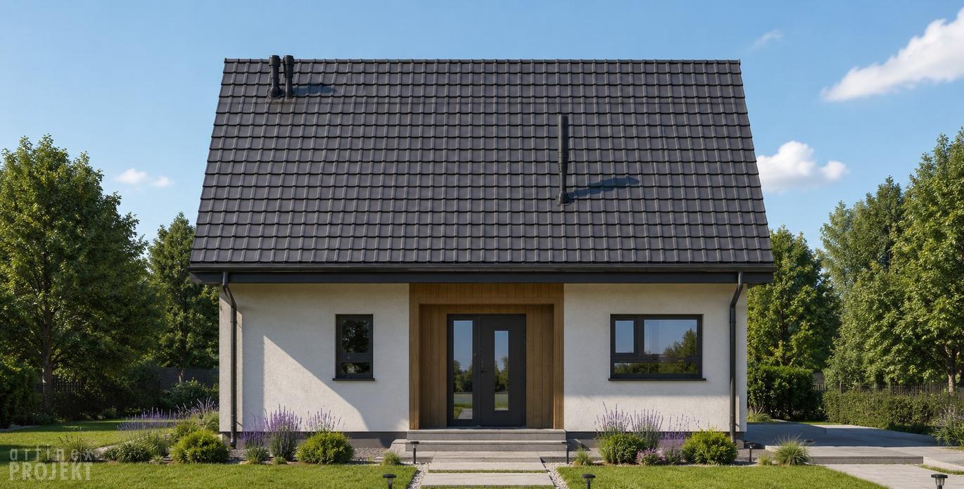 Projekt domu D464