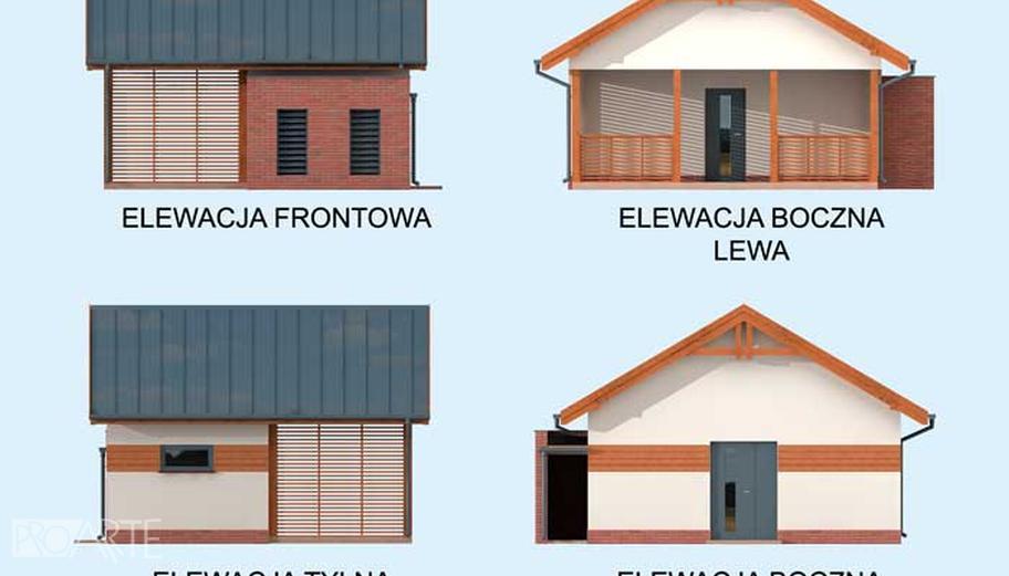 Elewacja 1
