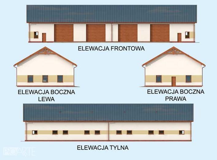 Budynek gospodarczy / Gospodarczo-garażowy / Garaż G307