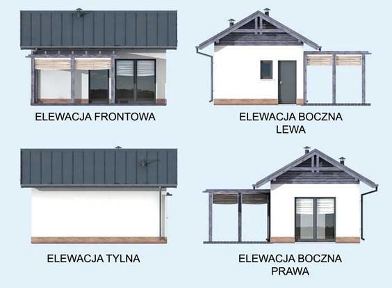 Elewacja 1