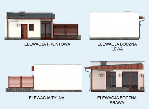 Elewacja 1