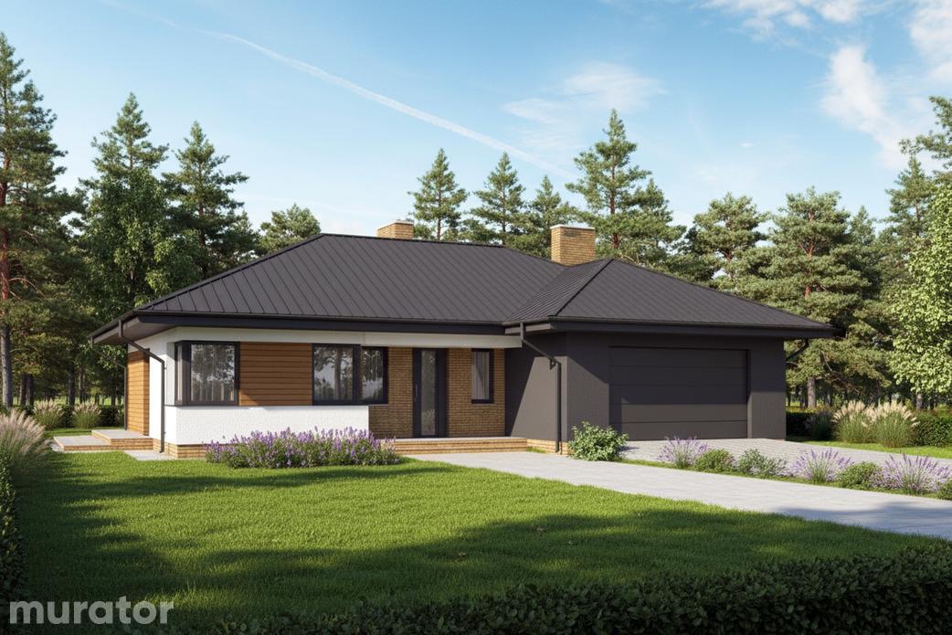 Poranna mgła - wariant I