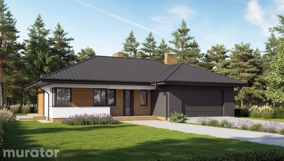 Poranna mgła - wariant I