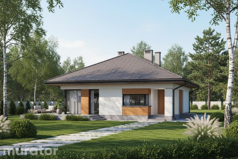 Bajeczny widok - wariant II