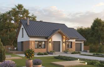 Znamienity - wariant IV