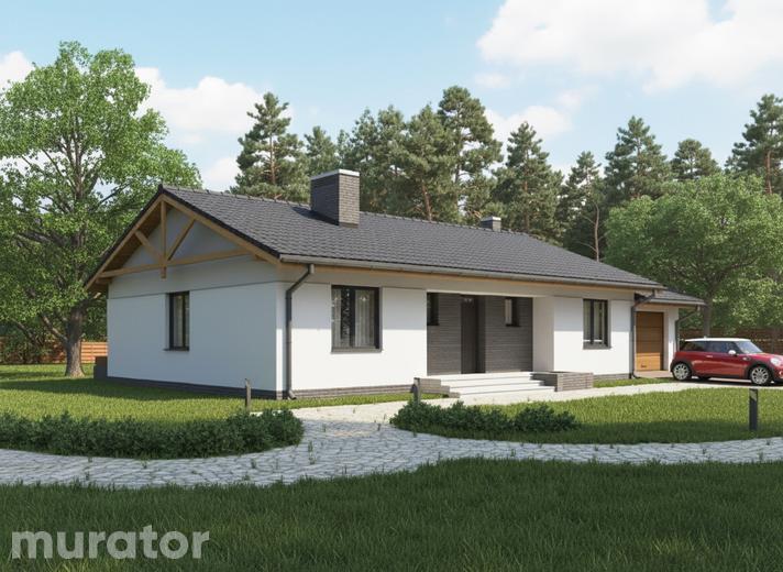 Zielony ogród - wariant II