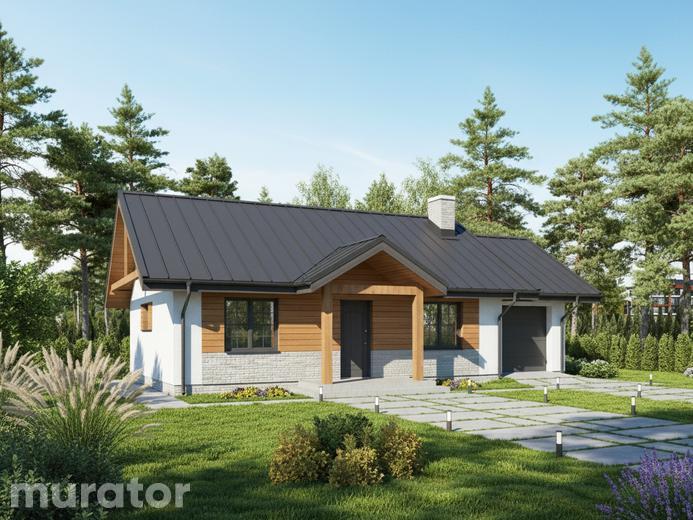 Lilie i piwonie - wariant II