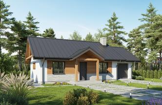 Lilie i piwonie - wariant II