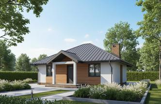 Lilie i piwonie - wariant IV