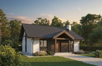 Lilie i piwonie - wariant V