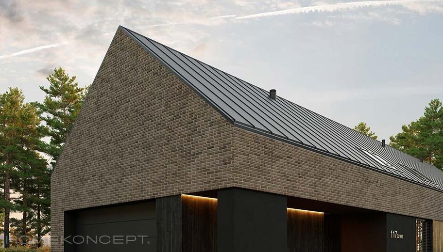 HOMEKONCEPT 117 G2 wariant 3