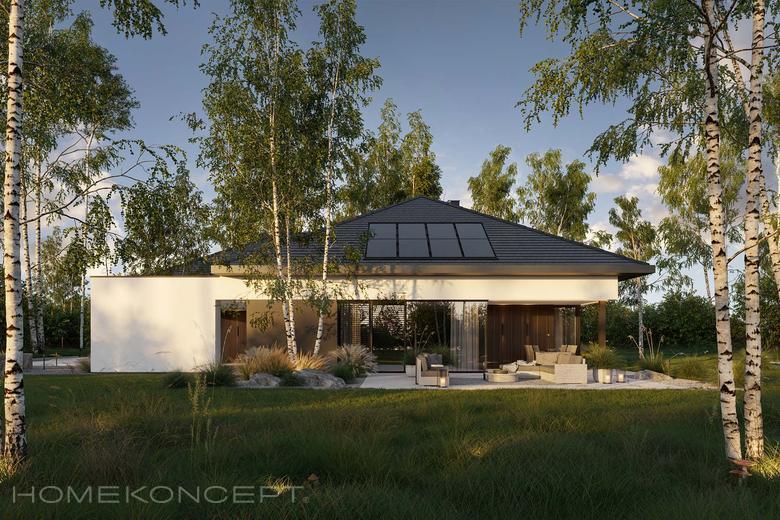 HOMEKONCEPT 133 wariant 1