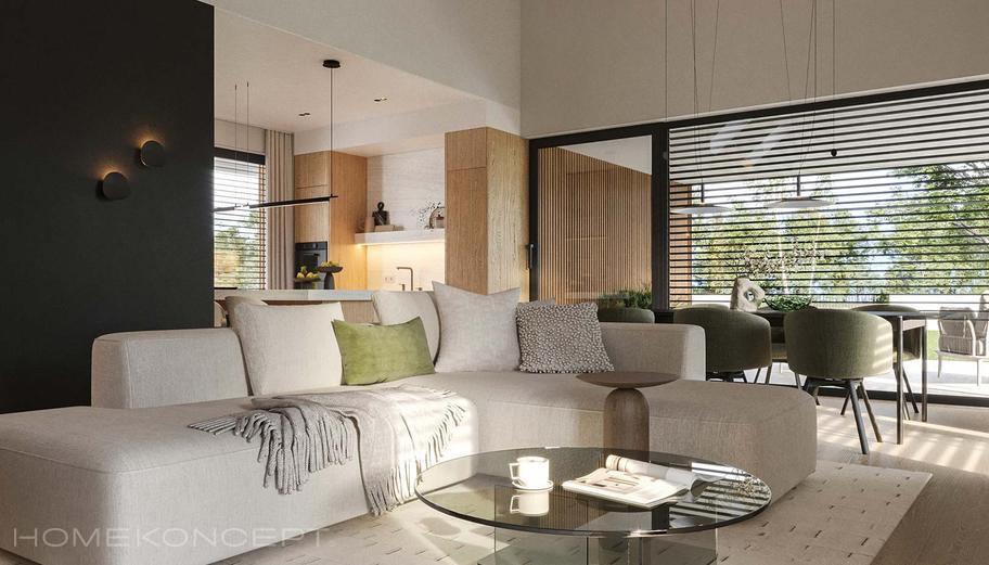 HOMEKONCEPT 144 wariant 1