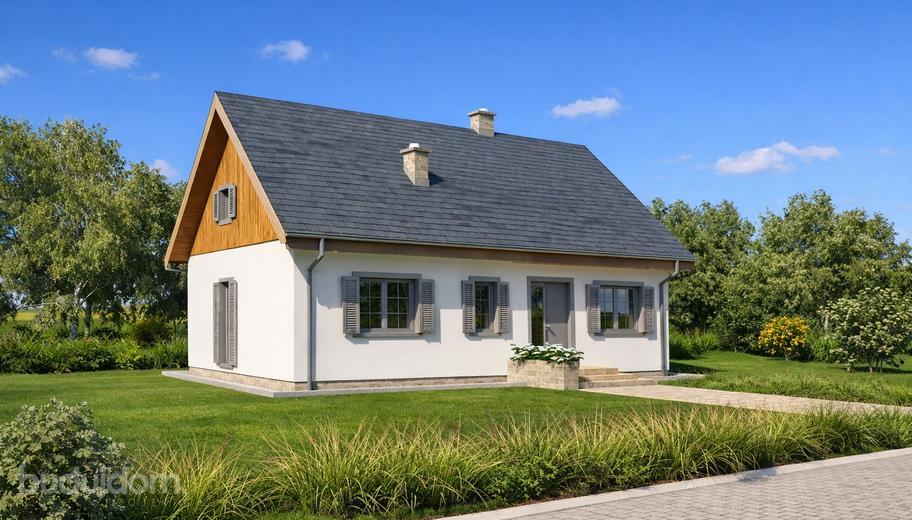 Projekt domu TK9c