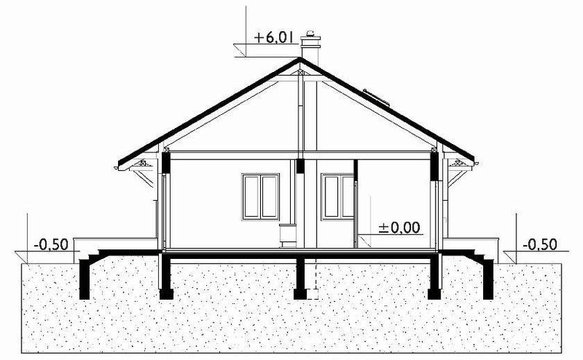 Czyżyk (wer.tech.2) (142)