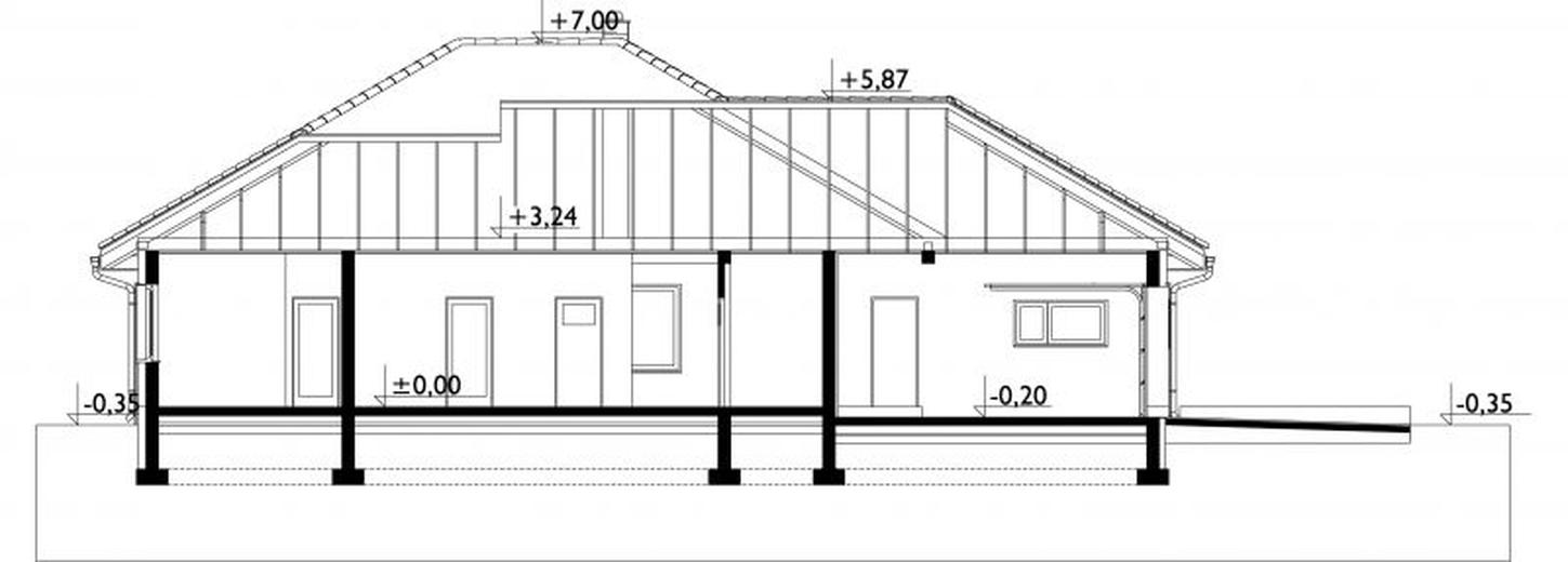 Koniczynka Rex G2 (1663)