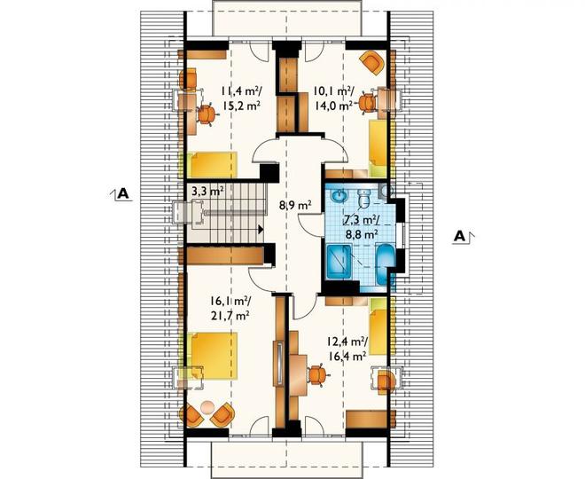 Lobelia Prima (1698)