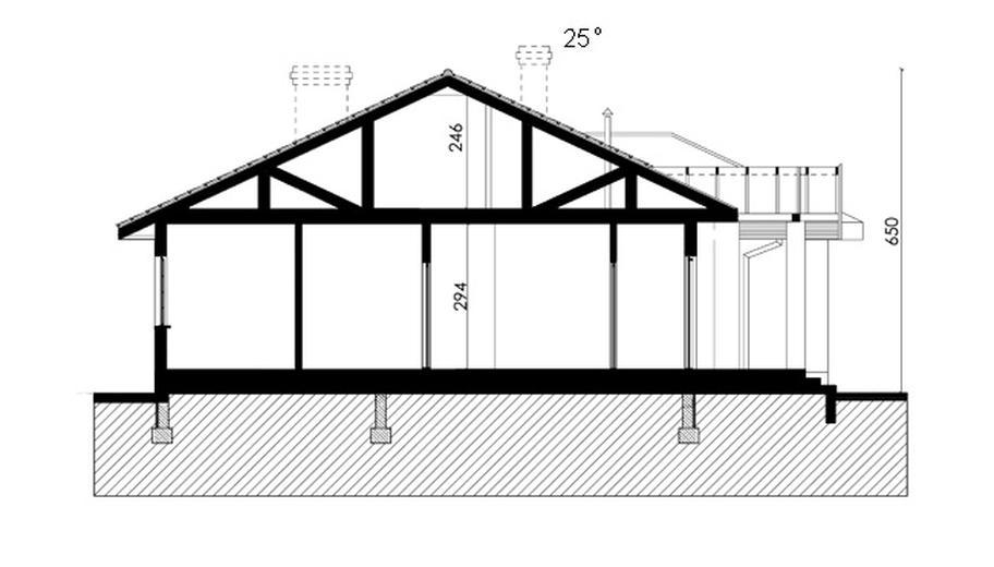 Projekt domu D172  Zbigniew z garażem wersja drewniana