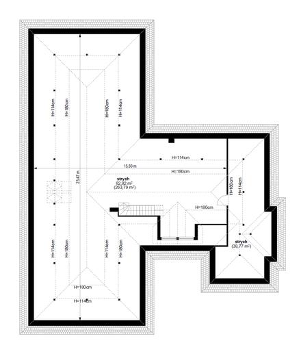 Wyjątkowy wariant B