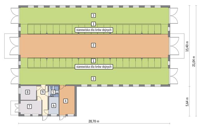 Obora dla 42 krów mlecznych, uwięziona (stanowiskowa), na płytkiej ściółce