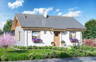 Tebe mini szkielet drewniany Tebe mini szkielet drewniany