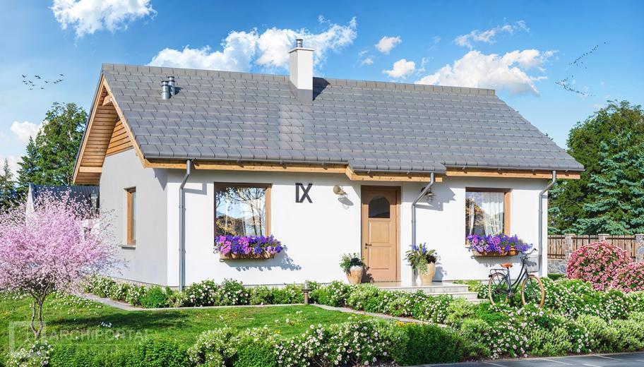 Tebe mini szkielet drewniany