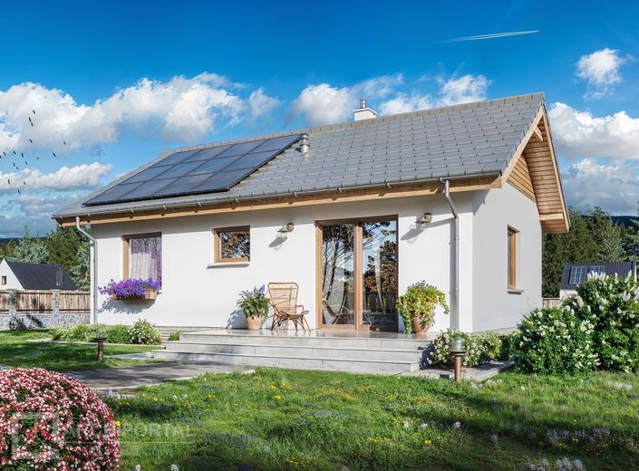 Tebe mini szkielet drewniany